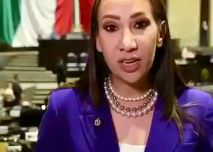 Presenta Noemí Luna iniciativa para actualizar el marco jurídico del comercio informal