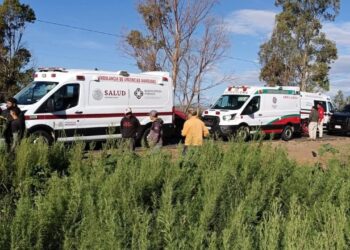 Muere campesino de campo menonita y 15 resultan heridos en accidente carretero