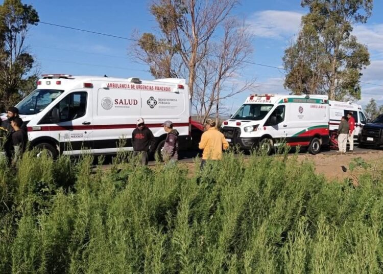 Muere campesino de campo menonita y 15 resultan heridos en accidente carretero