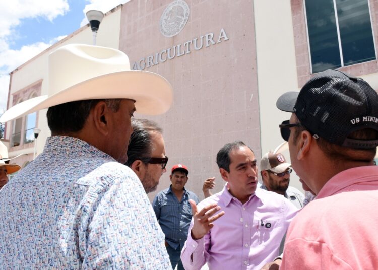 Pepe Saldívar impulsa la producción de frijol y a mejora del campo en Guadalupe