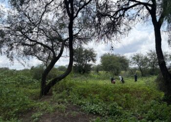 Grupo Escarabajos encuentran restos humanos en Jerez