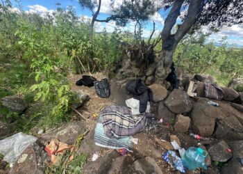 Destruyen campamento de una célula delictiva en Villanueva