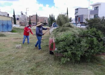 Poda de maleza en calles y parques de Guadalupe; recogen 60 mil toneladas de basura y escombro