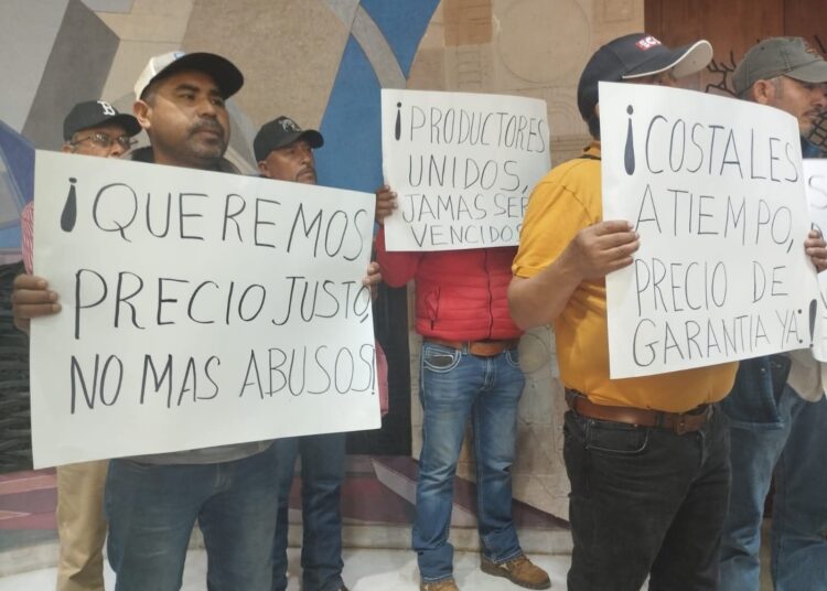 Productores de frijol piden a Segalmex que abra los centros de acopio; hay retraso