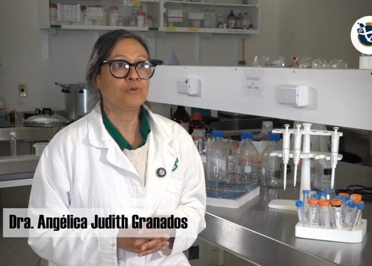 Investigadores UAZ obtienen patente por compuesto con potencial contra cáncer de mama