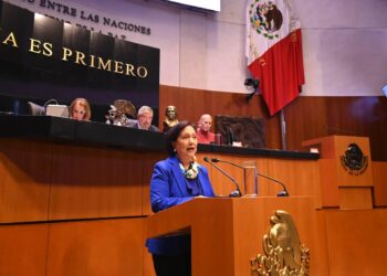 Hay una regresión en la protección internacional de los derechos humanos: Amalia García