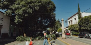 Ayuntamiento de Guadalupe rehabilita integralmente la entrada al centro urbano