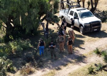 Madres buscadoras y Fiscalía encuentran restos óseos en Casa Blanca, Guadalupe