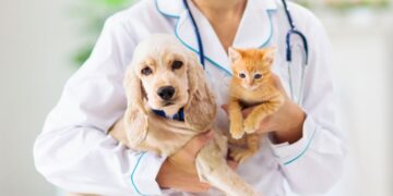 Seguros para Mascotas. ¿Realmente Existen?