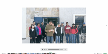 Jóvenes agresores de un canino, fueron sancionados con acciones en favor de los animales