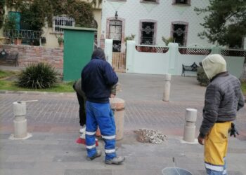 Ayuntamiento repara los daños a la Alameda