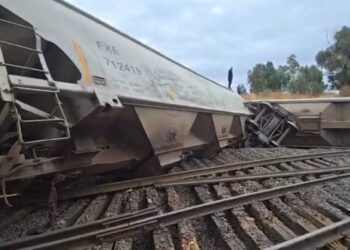 Por enésima vez, se descarrila tren en Tránsito pesado; 8 vagones quedaron fuera de la vía