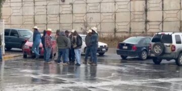 Alimentación para el Bienestar le quedó mal productores de frijol