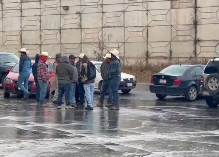 Alimentación para el Bienestar le quedó mal productores de frijol