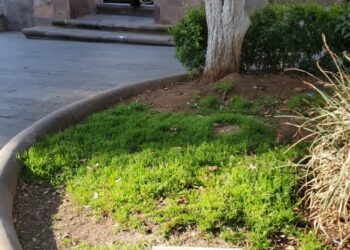 Vandalizan la Alameda y el Parque Arroyo de la Plata