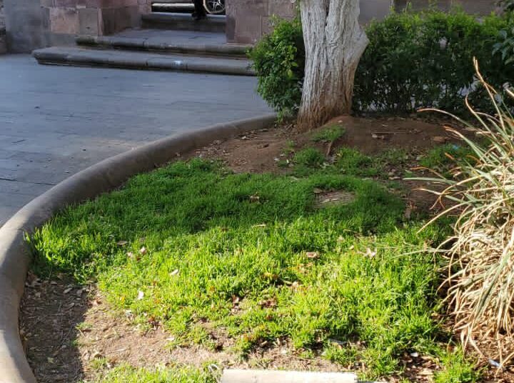 Vandalizan la Alameda y el Parque Arroyo de la Plata