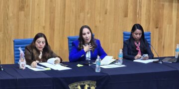 Está en riesgo la democracia, con la Reforma Electoral: Noemí Luna