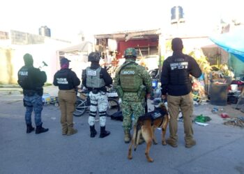 Catean vivienda y detienen a 5 presuntos narcomenudistas en Villa Fontana