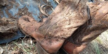 Localizan osamentas y botas en una fosa localizada en Monte de los García, Jerez