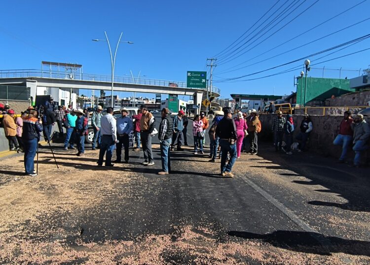 Productores riegan frijol en el bulevar metropolitano y lo bloquean otra vez