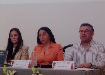 Las y los docentes debemos aprender nuevas formas de enseñanza: Mónica Muñoz