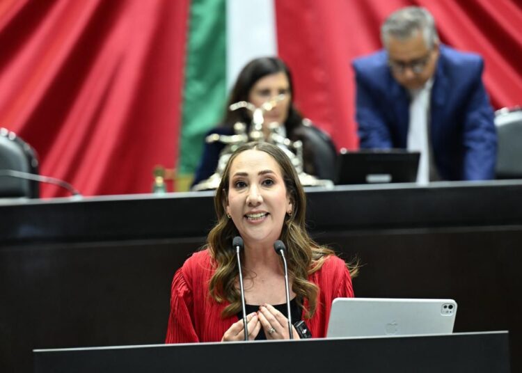 El “Plan B” de reforma electoral presidencial, atenta contra la democracia y concentra el poder:Noemí