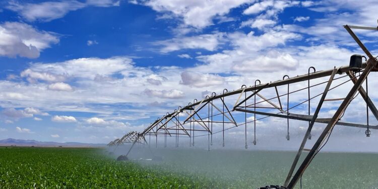 Convoca SADER a los agricultores de riego, acudir a ventanilla para mantener subsidio de energía