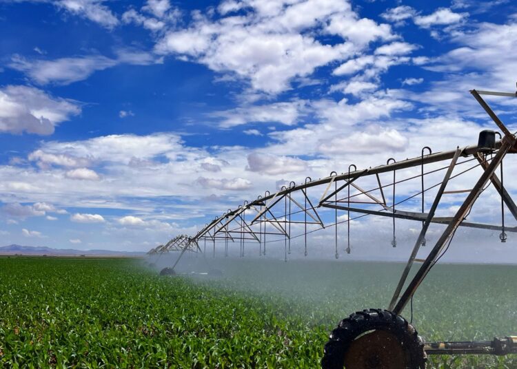 Convoca SADER a los agricultores de riego, acudir a ventanilla para mantener subsidio de energía