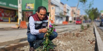 Bugambilias y otras 40 especies, se plantarán en el municipio de Guadalupe