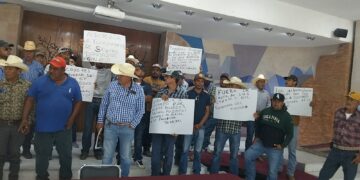 “Coyotes” de Secampo, alcalde y diputado, acaparan centros de acopio de frijol