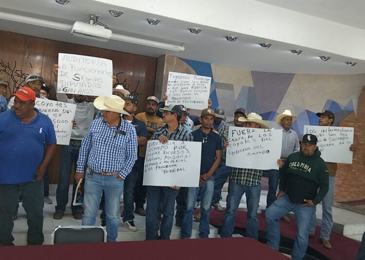 “Coyotes” de Secampo, alcalde y diputado, acaparan centros de acopio de frijol