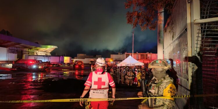 Pérdida total de los productos en bodega de Alimentación para el Bienestar
