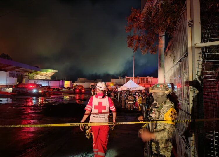 Pérdida total de los productos en bodega de Alimentación para el Bienestar