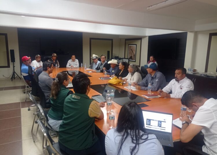 Confirma SSZ 11 nuevos casos de Sarampión; suman 16 en Zacatecas