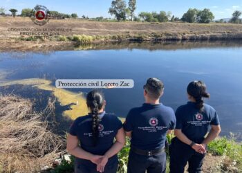 Sacan de un estanque a un hombre sin vida en Loreto; su estado era de descomposición