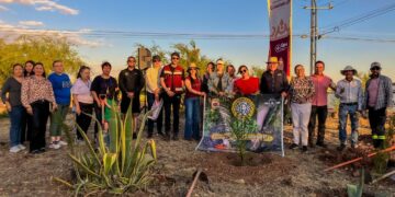 Se suma Grup Modelo al programa de reforestación de Guadalupe