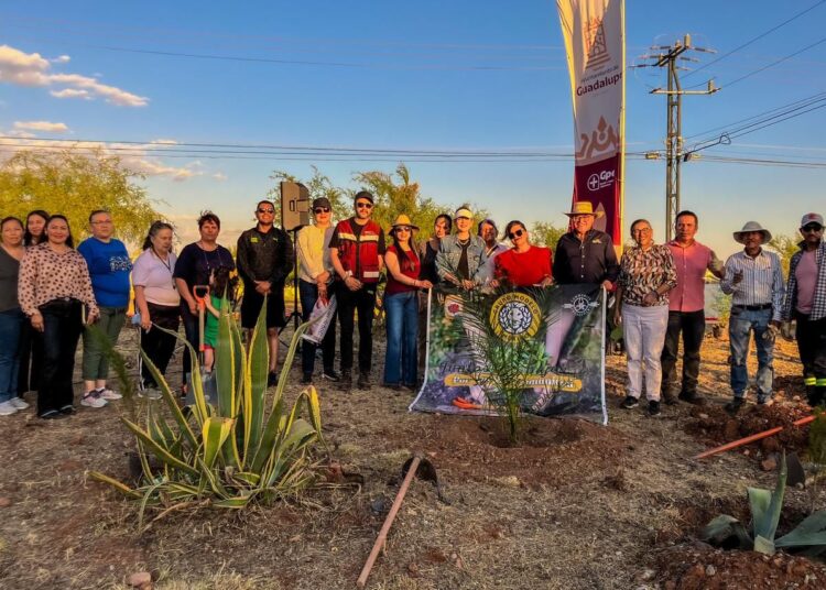 Se suma Grup Modelo al programa de reforestación de Guadalupe