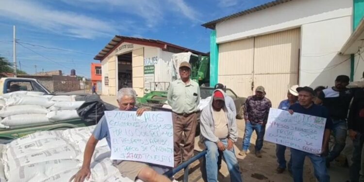 Frioleros toman el centro de acopio en Tacoaleche; piden les sea tomado a $27:00 y no a $16:00