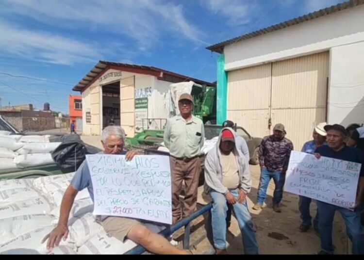Frioleros toman el centro de acopio en Tacoaleche; piden les sea tomado a $27:00 y no a $16:00
