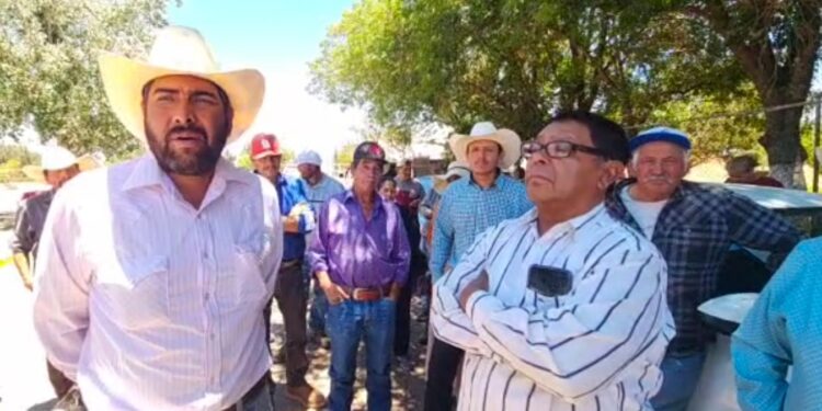 Sigue el engaño a frijoleros, pese a firma de acuerdos; no hay cumplimiento