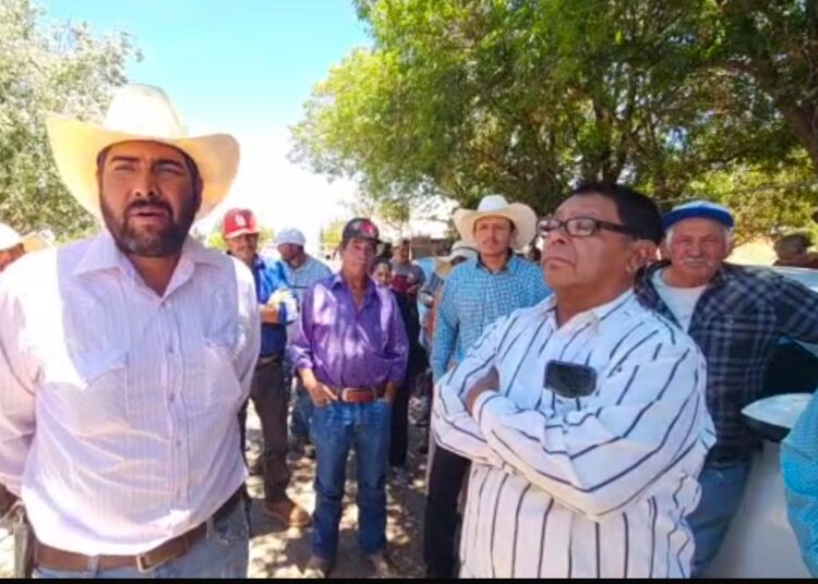 Sigue el engaño a frijoleros, pese a firma de acuerdos; no hay cumplimiento