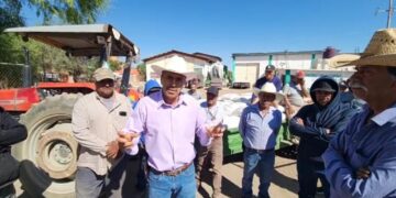 Productores de frijol exigen se respete el precio de garantía de 27 pesos el kilo