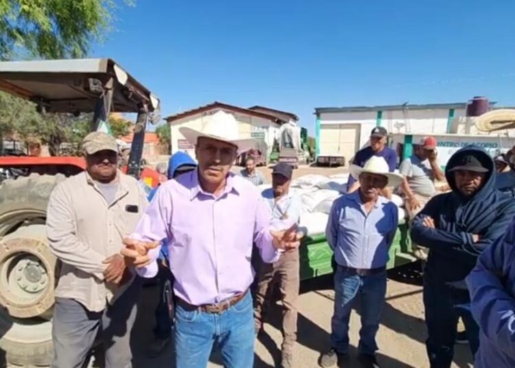 Productores de frijol exigen se respete el precio de garantía de 27 pesos el kilo