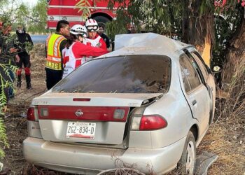 Impactó su auto contra un árbol y perdió la vida en “La Pimienta”