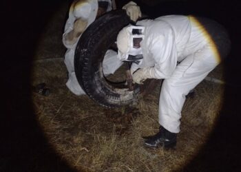 Desalojan Unidad Deportiva de Guadalupe para retirar dos panales y evitar incidentes