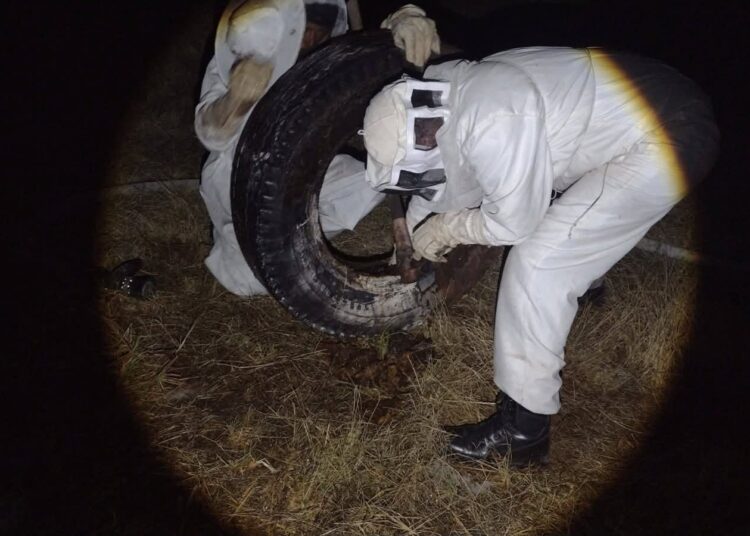 Desalojan Unidad Deportiva de Guadalupe para retirar dos panales y evitar incidentes