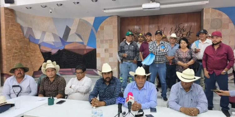 Productores de frijol amagan con bloquear vías del tren, si no hay respuesta a demandas