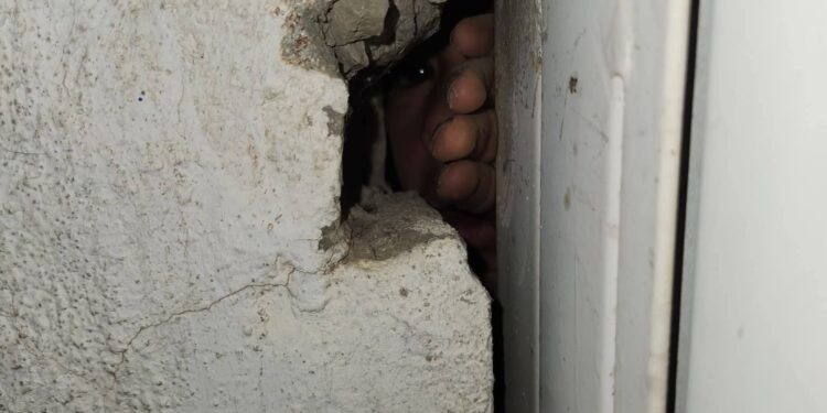 El pequeño Ángel, regresará con su padre, después de haber permanecido encerrado en una bodega