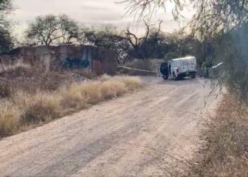 Encuentran 7 cuerpos sin vida en Tepazala, Aguascalientes;son cinco hombres y dos mujeres