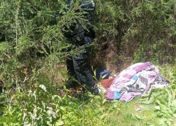 Elementos de seguridad destruyeron campamento de presuntos delincuentes en Cuauhtémoc